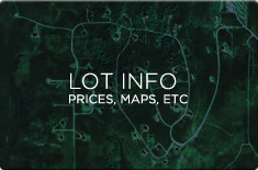 Lot Info