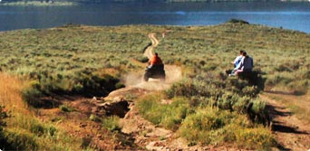 atv riding