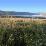 Scofield-UT-Aspen Cove at Scofield-Utah Cabin Property 2