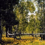 Scofield-UT-Aspen Cove at Scofield-Utah Mountain Property (13)