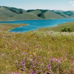 Scofield-UT-Aspen Cove at Scofield-Utah Mountain Property (3)