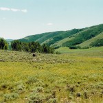 Scofield-UT-Aspen Cove at Scofield-Utah Mountain Property (6)