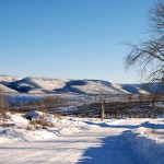 Scofield-UT-Aspen Cove at Scofield-Utah Recreational Property (12)