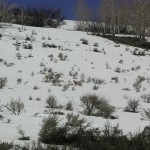 Scofield-UT-Aspen Cove at Scofield-Utah Recreational Property (18)