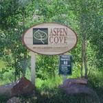 Scofield-UT-Aspen Cove at Scofield-Utah Recreational Property (22)